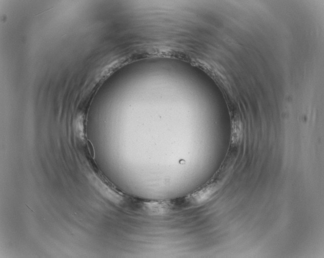 X0000088020238200705251059