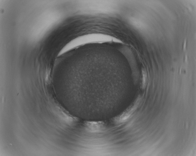 X0000088020239200705251059