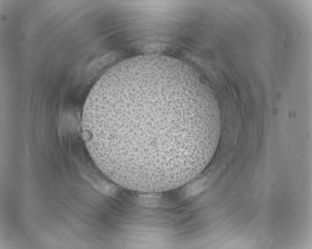 X0000088020240200705251059