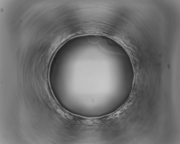 X0000088020241200705251058