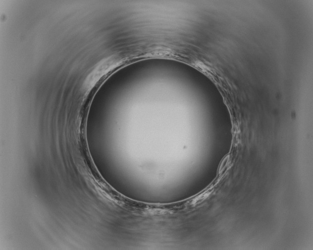 X0000088020242200705251058