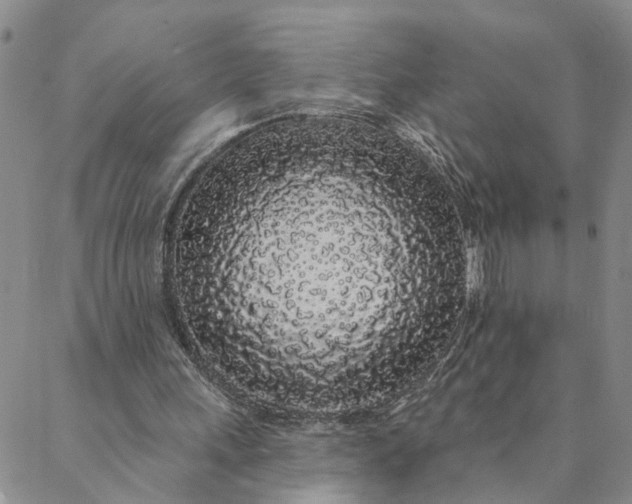 X0000088020243200705251058