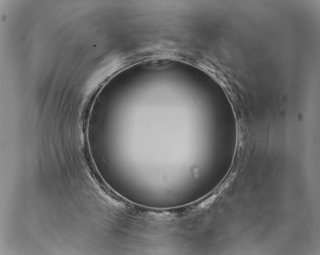 X0000088020245200705251058