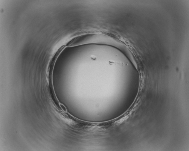 X0000088020246200705251059