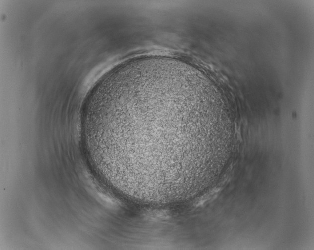 X0000088020247200705251059