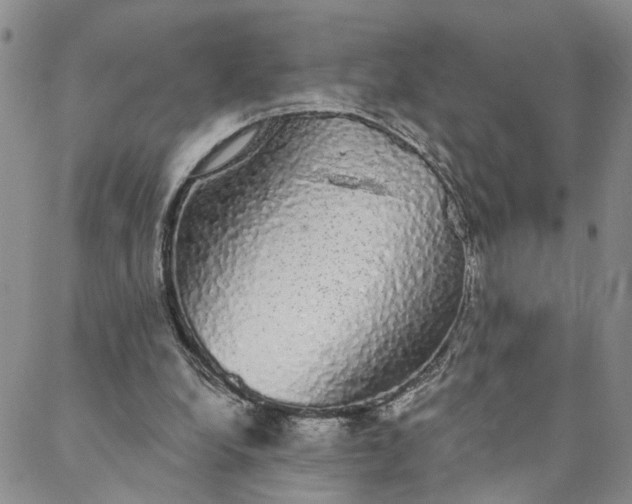 X0000088020248200705251059