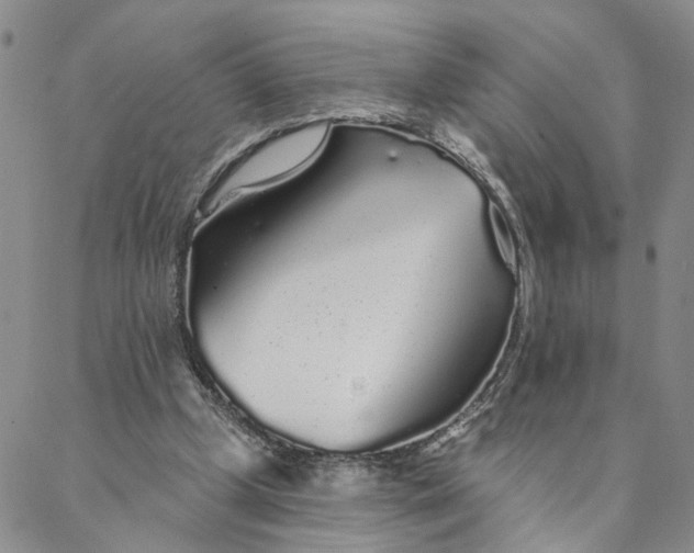 X0000088020249200705251059