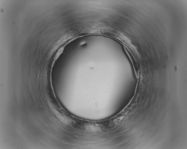 X0000088020250200705251059