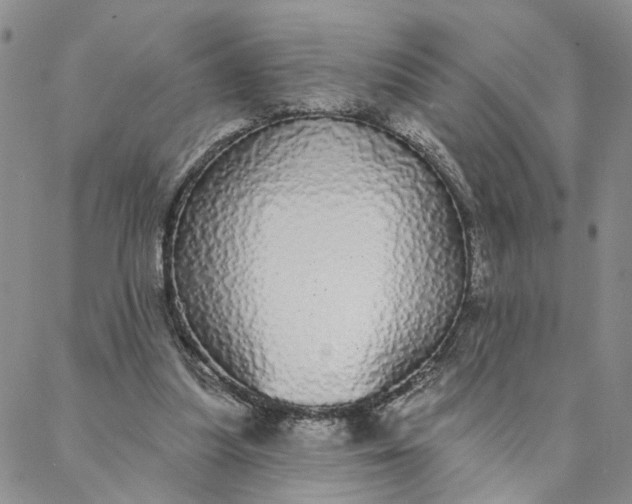 X0000088020251200705251059