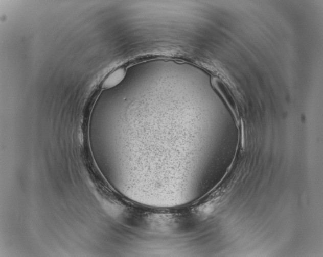 X0000088020252200705251059