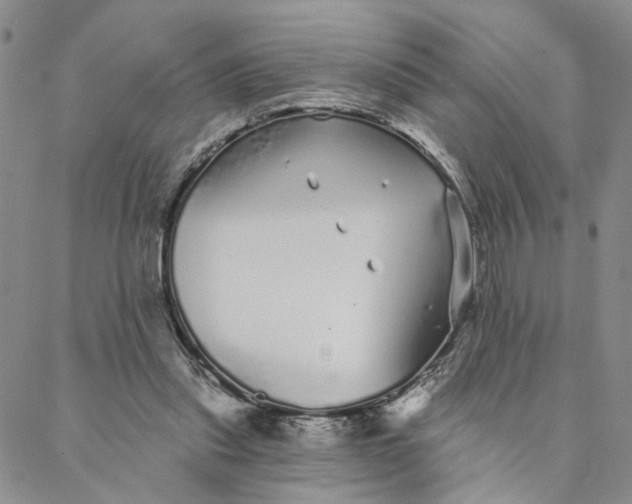 X0000088020253200705251059