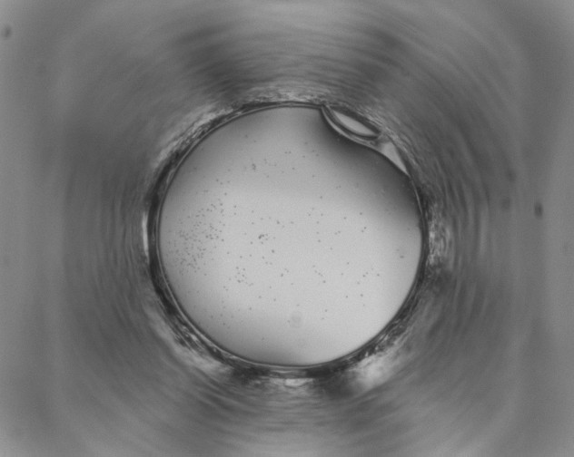 X0000088020254200705251059