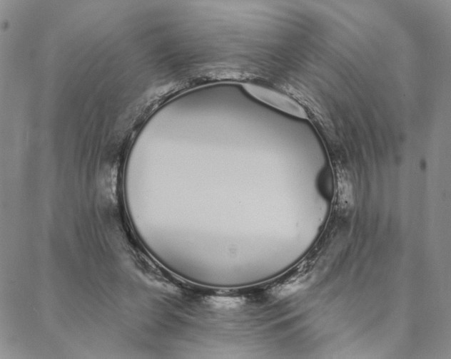 X0000088020255200705251059