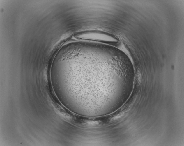 X0000088020256200705251059