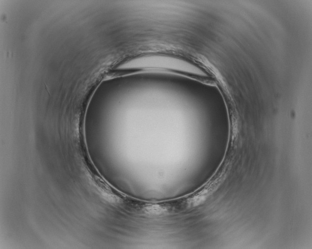 X0000088020257200705251059