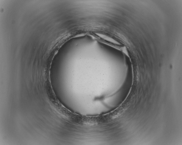 X0000088020258200705251059