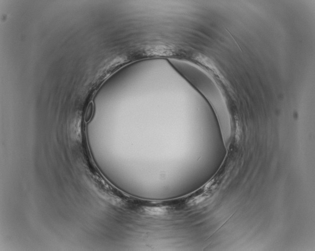 X0000088020259200705251059