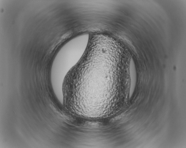 X0000088020260200705251059