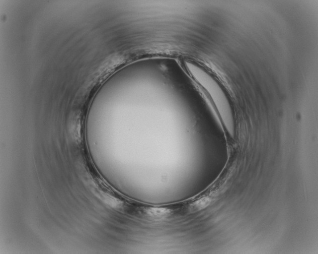 X0000088020261200705251059