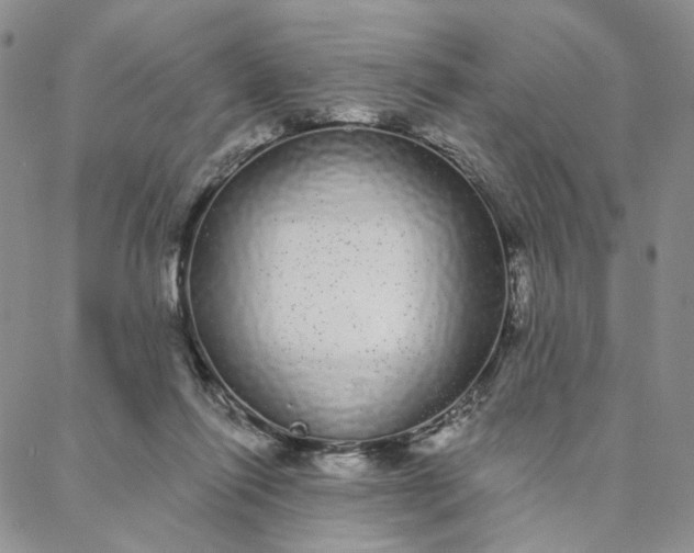 X0000088020262200705251059