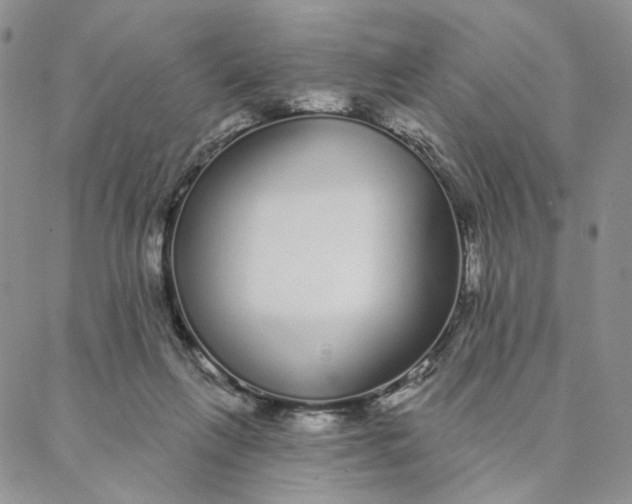 X0000088020263200705251059