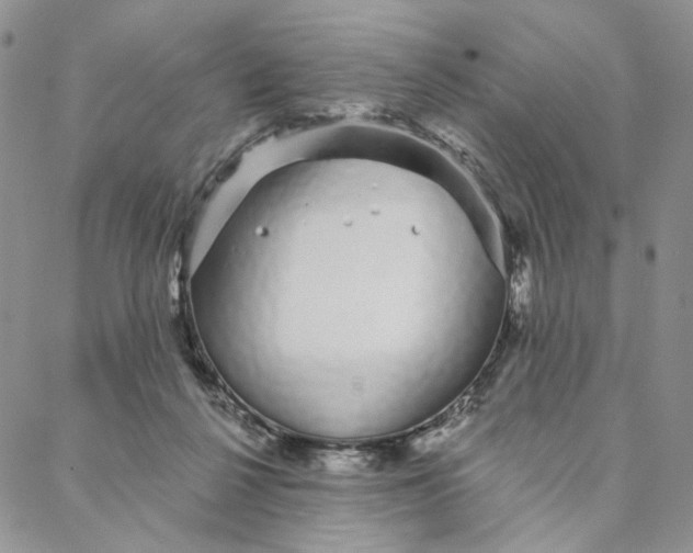 X0000088020264200705251059