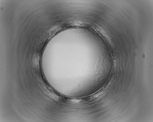 X0000088020265200705251059