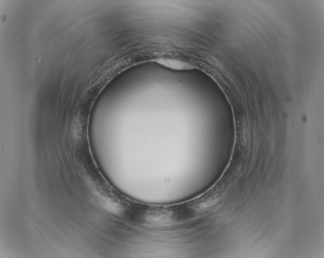 X0000088020266200705251059