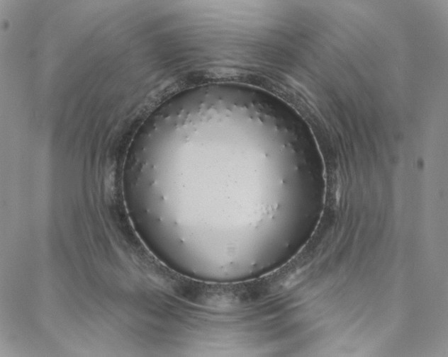 X0000088020267200705251059