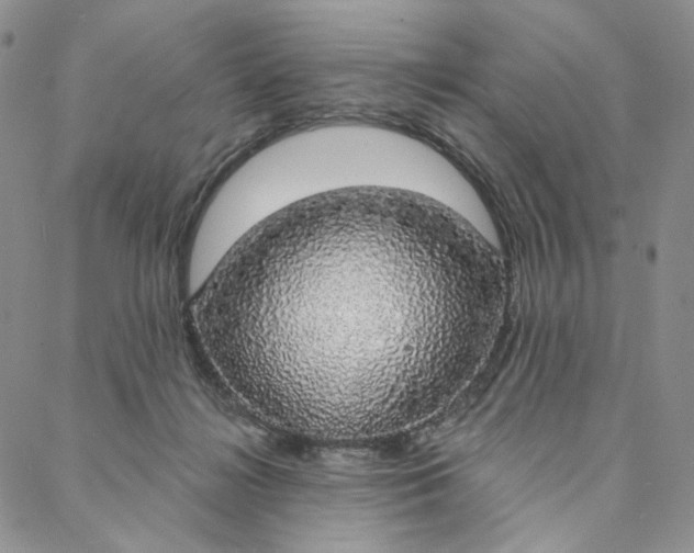 X0000088020268200705251059