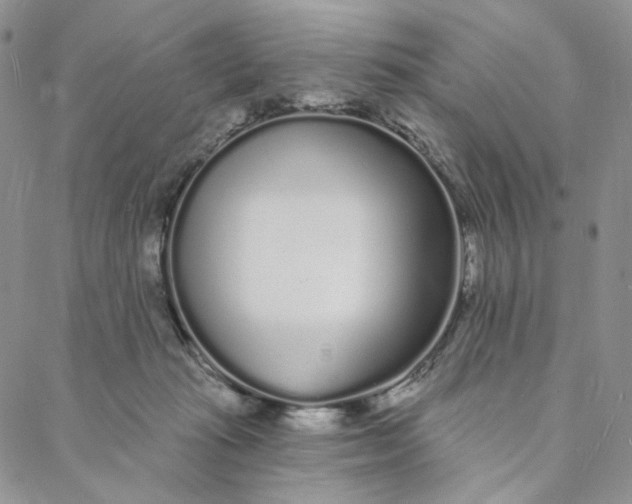 X0000088020269200705251059