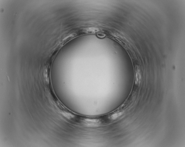 X0000088020270200705251059