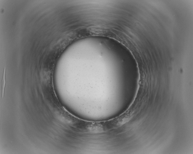 X0000088020271200705251059