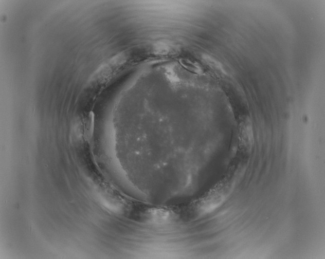 X0000088020272200705251059