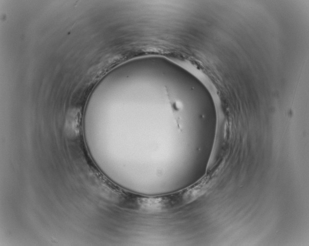 X0000088020273200705251059