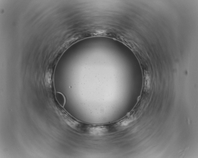 X0000088020274200705251059