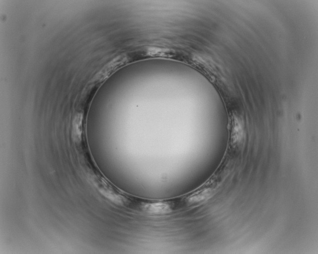 X0000088020275200705251059