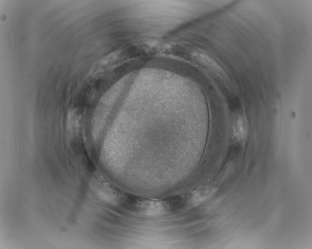 X0000088020276200705251059