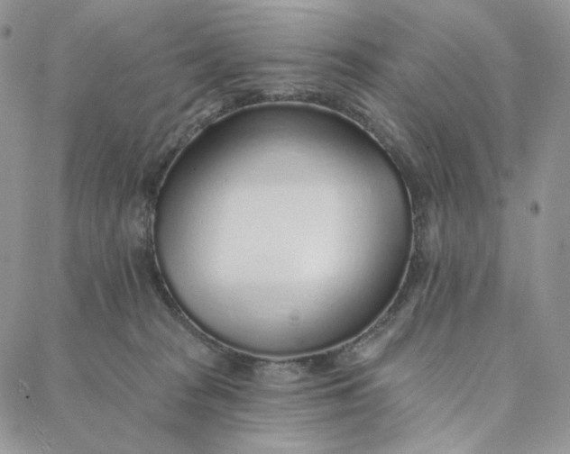 X0000088020277200705251059