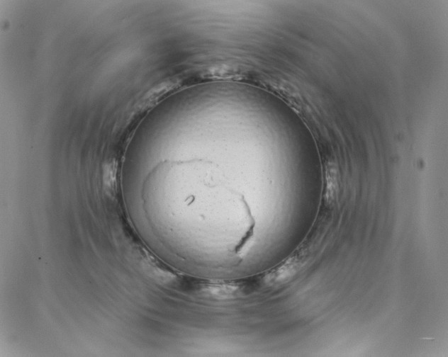 X0000088020278200705251059