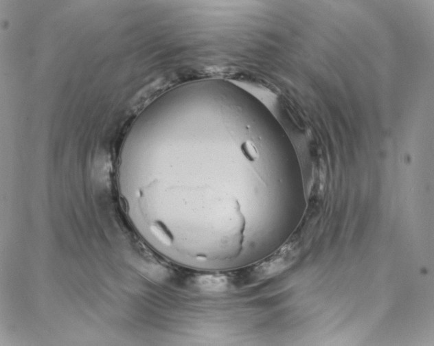 X0000088020279200705251059