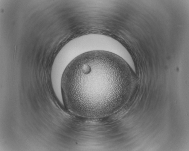 X0000088020280200705251059