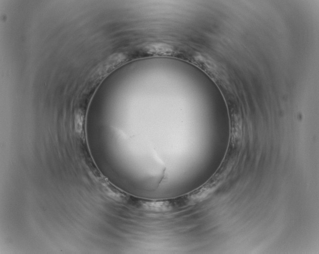 X0000088020281200705251059