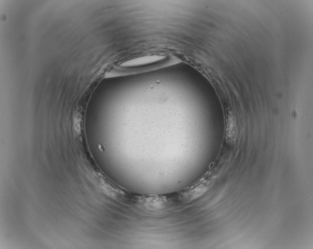 X0000088020282200705251059