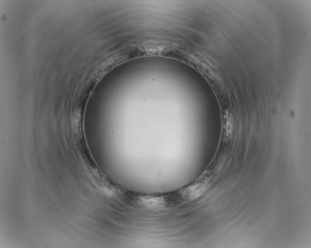 X0000088020283200705251059