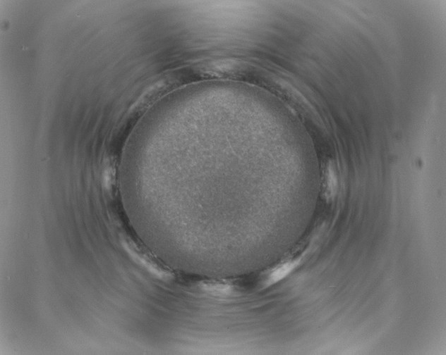 X0000088020284200705251059