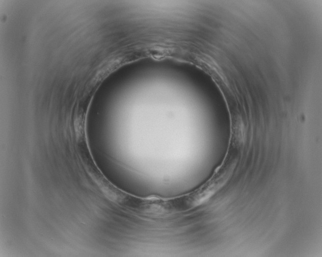 X0000088020285200705251059