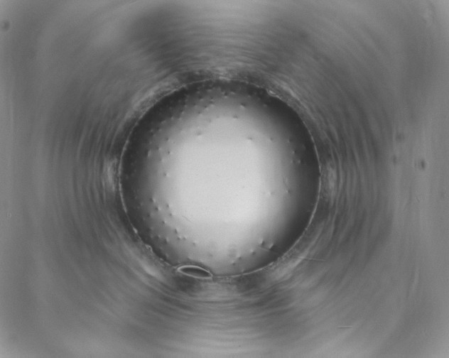 X0000088020286200705251059