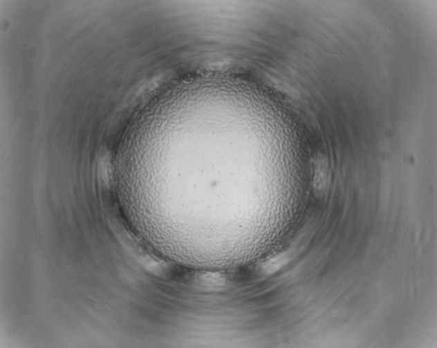 X0000088020287200705251059