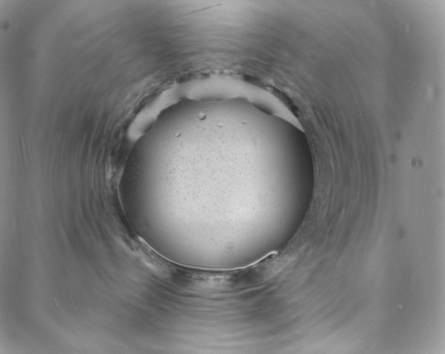 X0000088020288200705251059